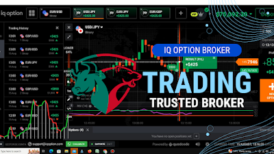 Best Binary Options Brokers for 2023: Navigating the Financial Markets