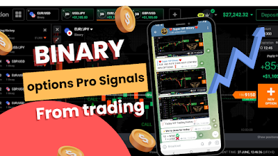 Binary Options Pro Signals: Maximizing Trading Potential