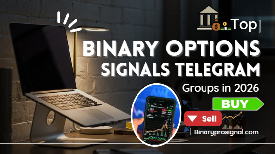 Top Binary Options Signals Telegram Groups in 2026